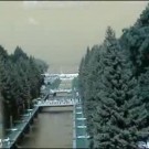 Видео фонтанов Петергофа